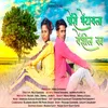 About Pori Bhetayla Yeshil Ka Song